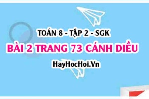 Bài 2 trang 73 Toán 8 Tập 2 Cánh Diều: Tam Giác Đồng Dạng